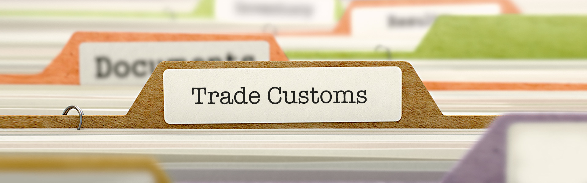 OceanWild Design trade customs